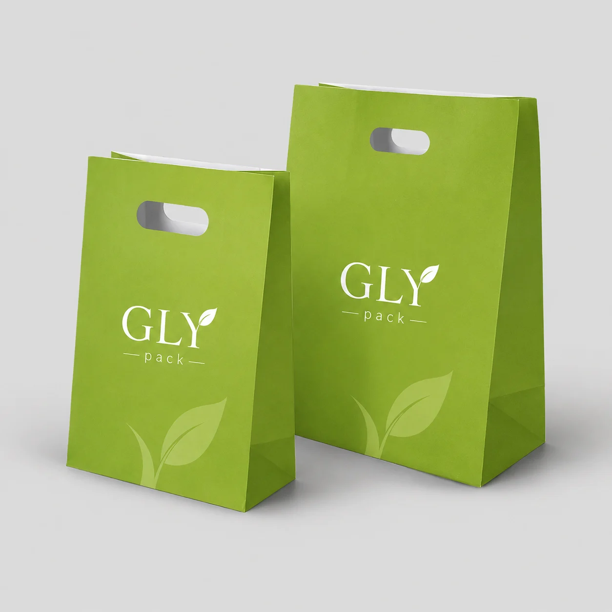 Paper Takeaway Bags