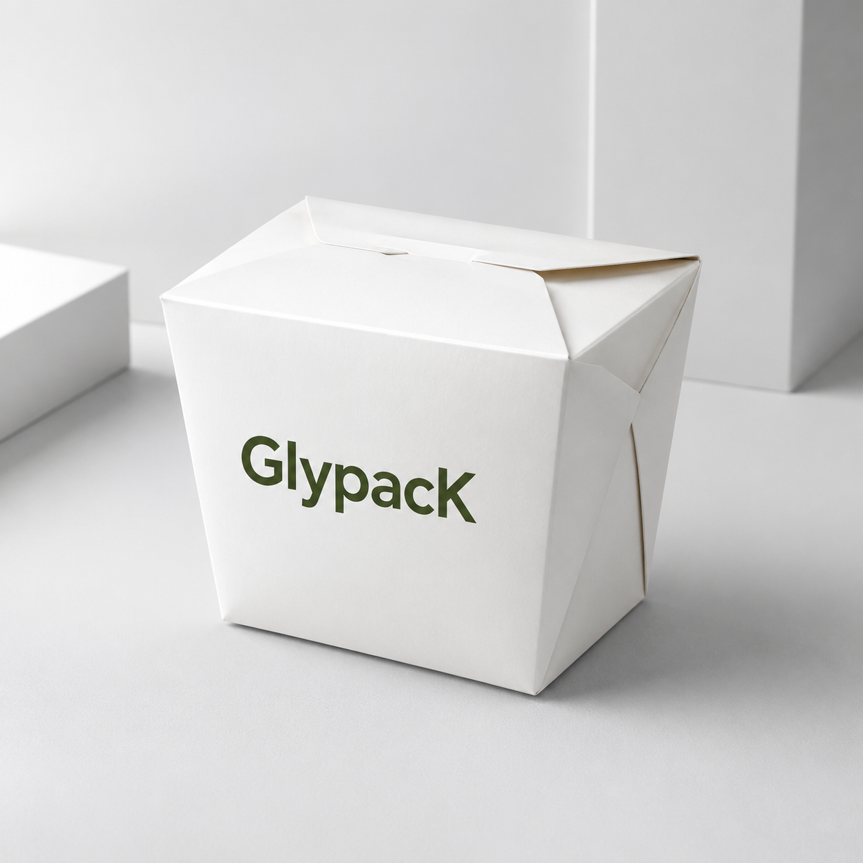 Leakproof Chinese Food Takeout Box for Hot Meals
